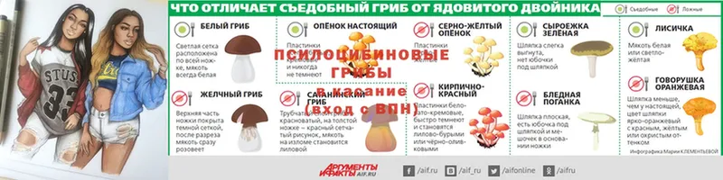 ОМГ ОМГ ссылка  Грязовец  Псилоцибиновые грибы ЛСД  купить закладку 